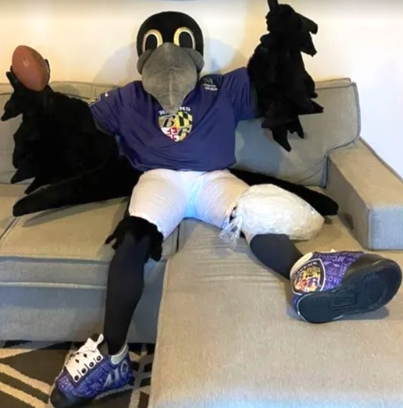 Inside Ravens' Tryouts for a Poe Mascot Fill-In