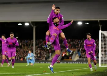 Wolves celebrate goal against Fulham Photo Courtesy: Getty Images