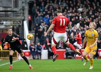 Chris Wood scores goal against Brighton Photo Courtesy: Getty Images