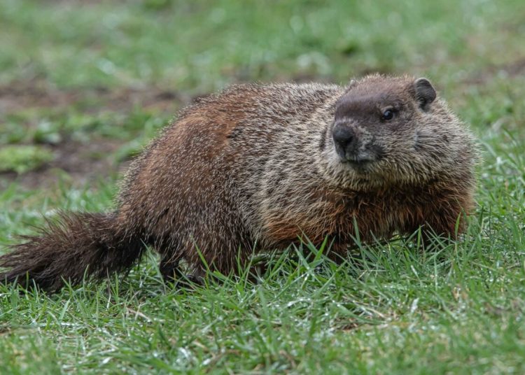 Photo Courtesy: Canadian Geographic