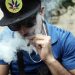 An individual smokes marijuana at a public area Photo Courtesy: Leonardo Alvarez Hernandez / Getty Images file