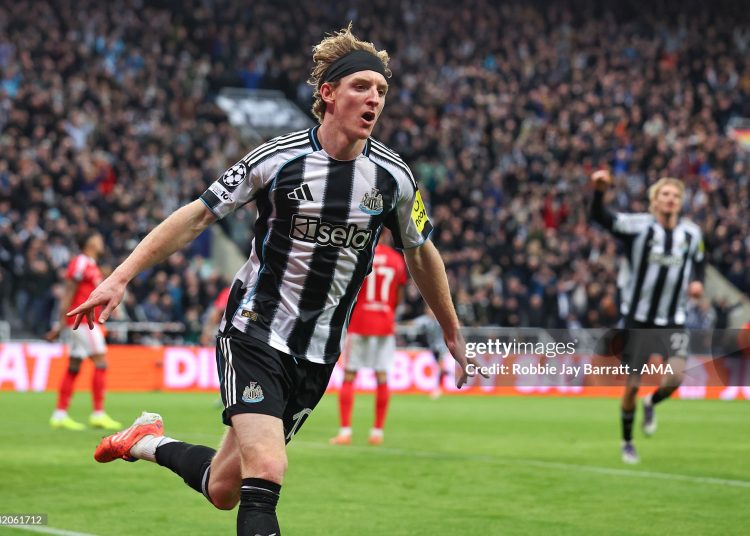 Anthony Gordon of Newcastle United celebrates after scoring a goal to make it 1-0 during the UEFA Champions League 2025/26 League Phase MD3 match between Newcastle United FC and SL Benfica (Photo by Robbie Jay Barratt - AMA/Getty Images)