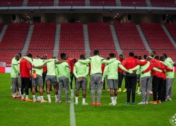 Black stars . Photo Courtesy: Black stars x