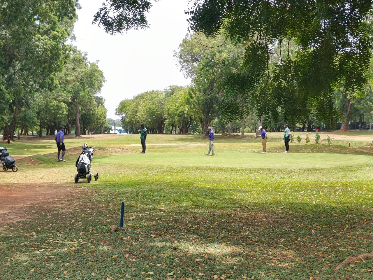 Bok nam kim- women's day - Golf 