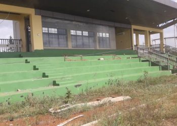 Ho Youth center - Cattle grazing - Ho central Mp