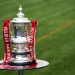 FA Cup Trophy on the pitch. Photo by Alex Livesey/Getty Images)