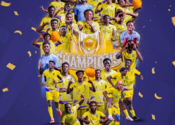 Photo Courtesy: Medeama sc X