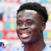 saka-world Cup