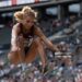 Alexandra Wester competes during women's long jump Final during a German National Championship in Athletics (Photo by Maja Hitij/Bongarts/Getty Images)