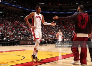 Giannis Antetokounmpo #7 and Nick Richards #8 of the Miami Heat high five during the game against the Minnesota Timberwolves (Photo by Issac Baldizon/NBAE via Getty Images)